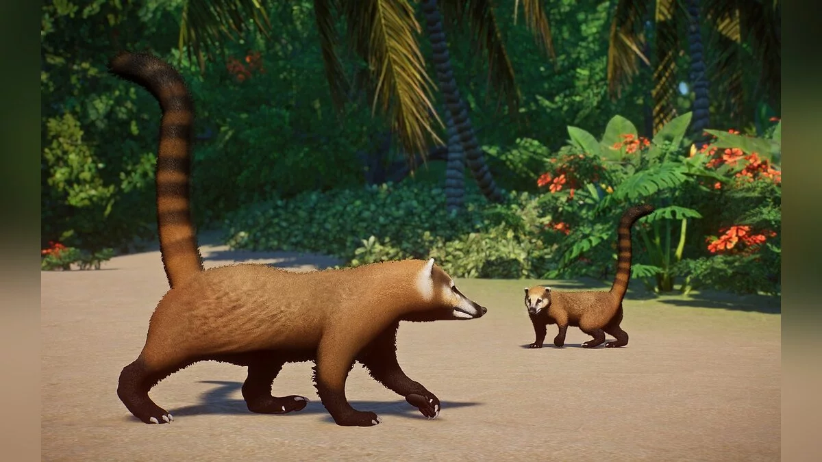 Planet Zoo — Южноамериканский коати - новые виды