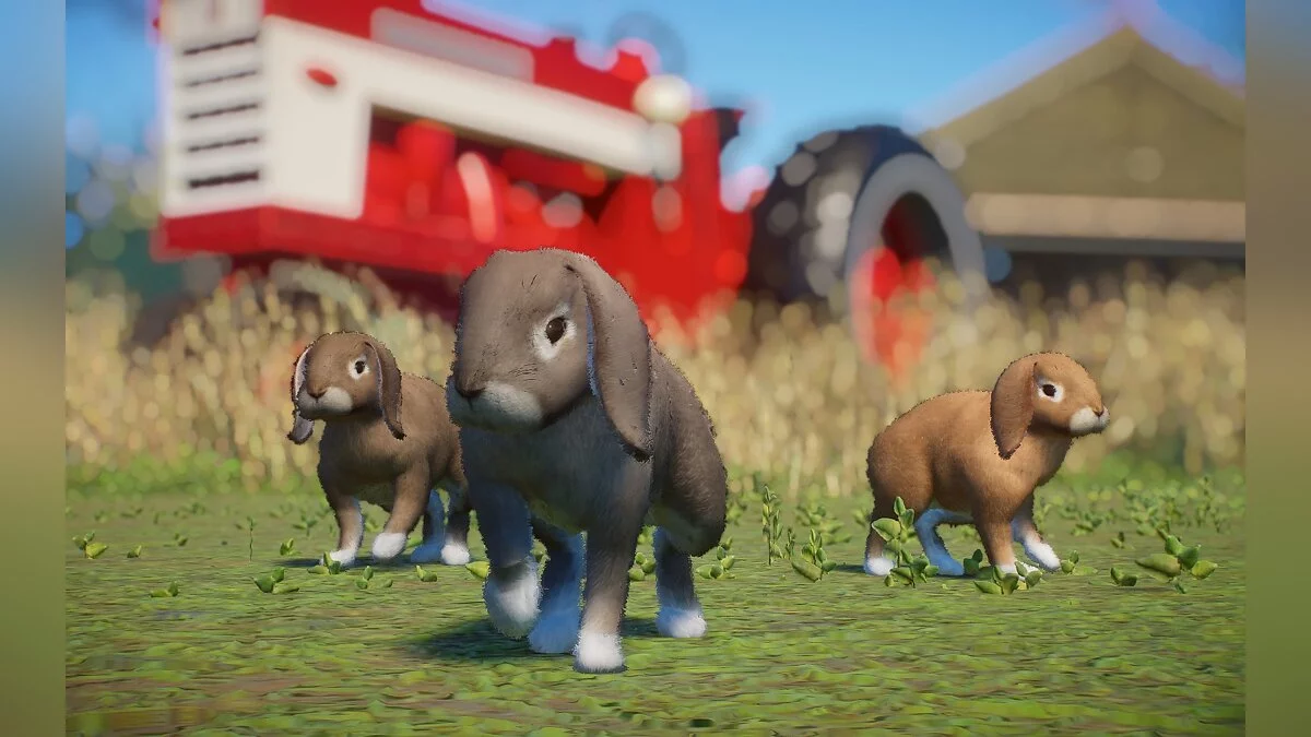 Planet Zoo — Домашний кролик - Новые виды