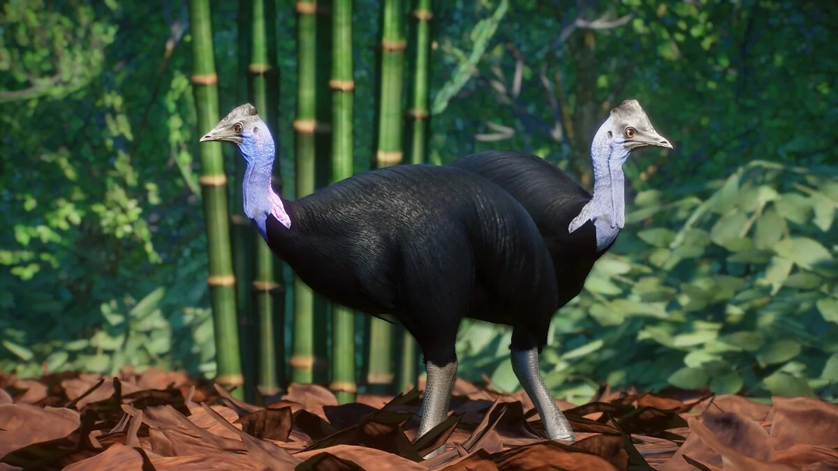 Planet Zoo — Карликовый казуар - новые виды