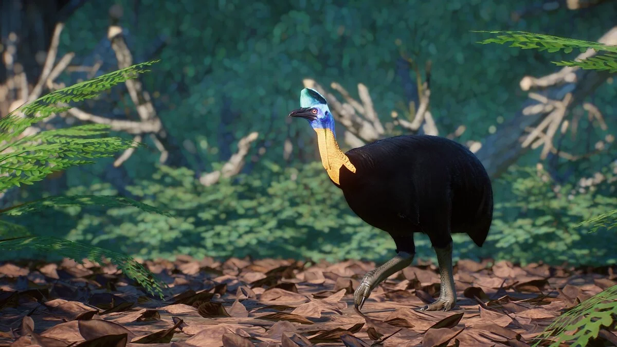 Planet Zoo — Северный казуар - новые виды