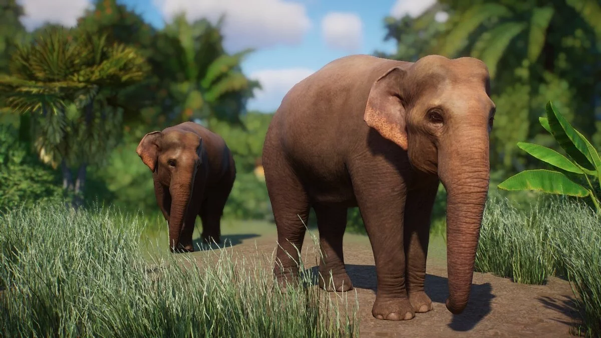 Planet Zoo — Ремастер индийского слона