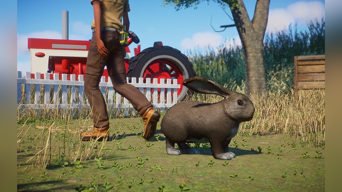 Planet Zoo — Фламандский гигант - домашний кролик - новые виды / Существа и  монстры / Персонажи и игроки