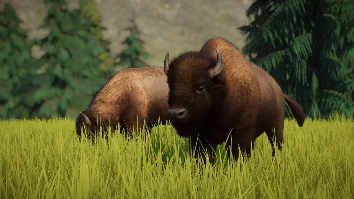 Planet Zoo — Ремастер американского бизона