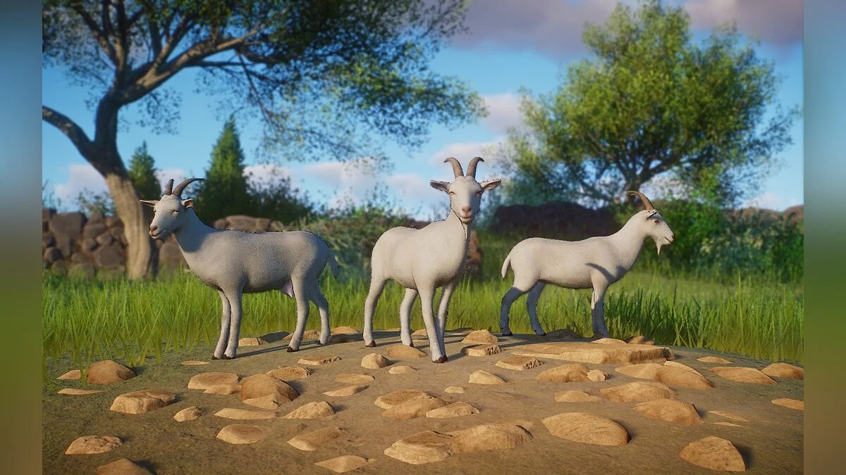 Planet Zoo — Домашняя коза - новые виды