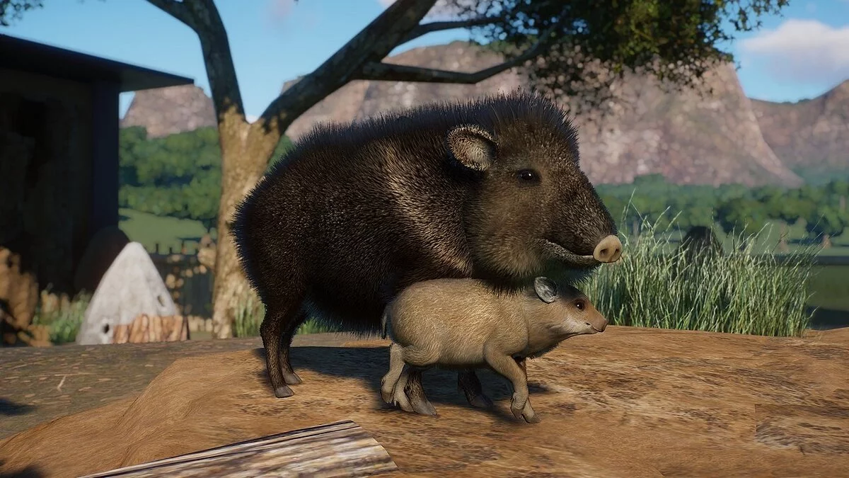 Planet Zoo — Чакоанский пекари — новые виды