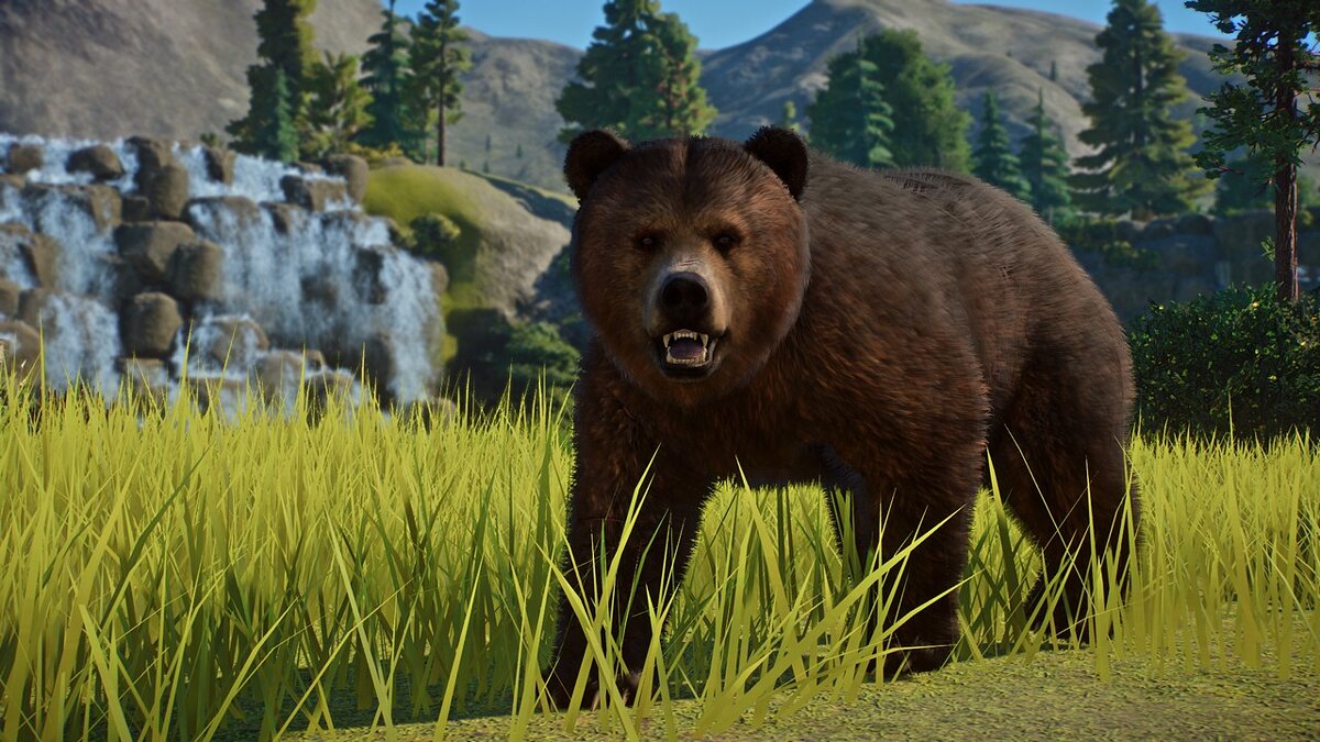 Planet Zoo — Атласский медведь — новые виды