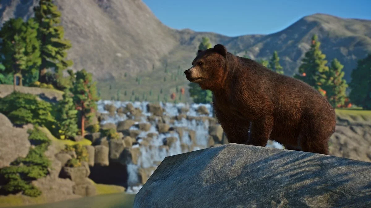 Planet Zoo — Атласский медведь — новые виды