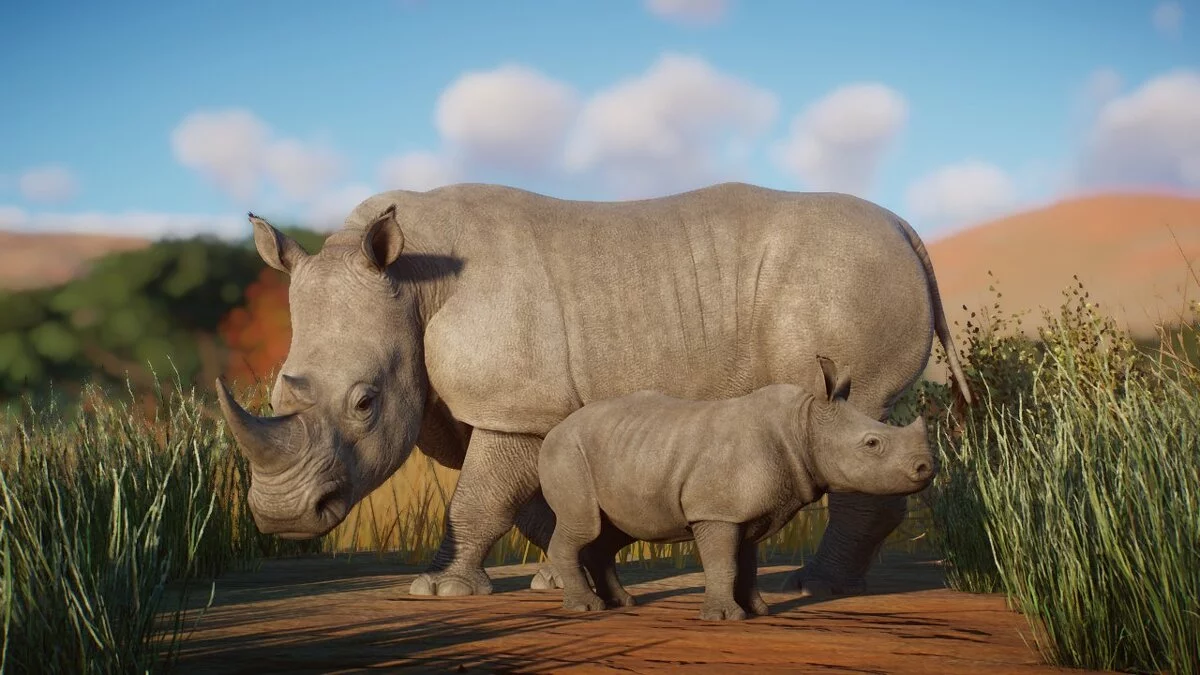 Planet Zoo — Ремастер белого носорога