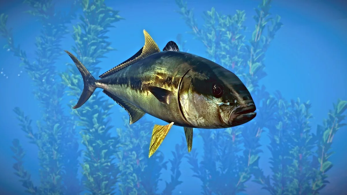 Planet Zoo — Желтохвостый амберджек — новые виды