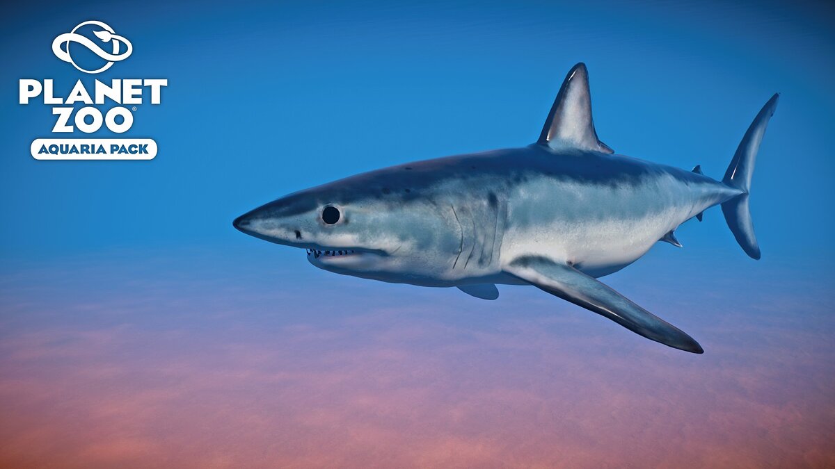 Planet Zoo — Короткоперая акула-мако — новые виды