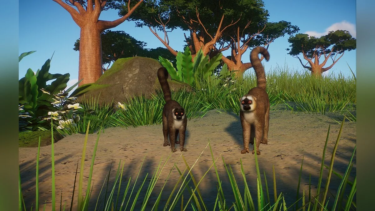 Planet Zoo — Обыкновенный бурый лемур - новые виды