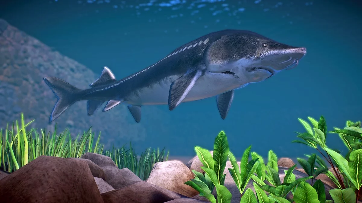 Planet Zoo — Калуга - новые виды