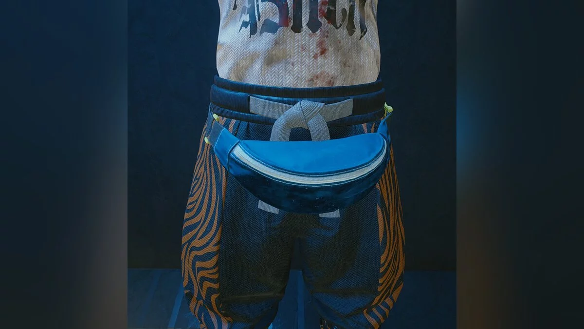 Cyberpunk 2077 — Поясные сумки