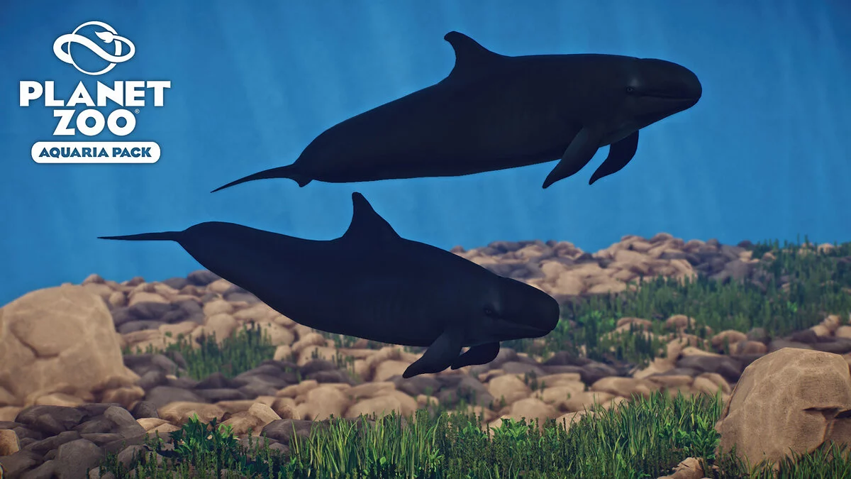 Planet Zoo — Ложная косатка - новые виды