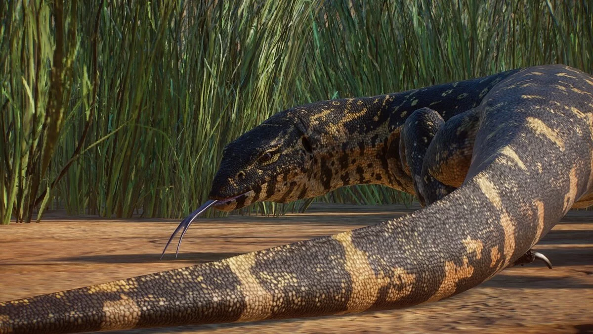 Planet Zoo — Нильский варан