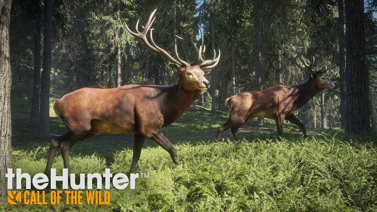 theHunter: Call of the Wild — Более широкая зона появления животных /  Геймплей / Моды и скины