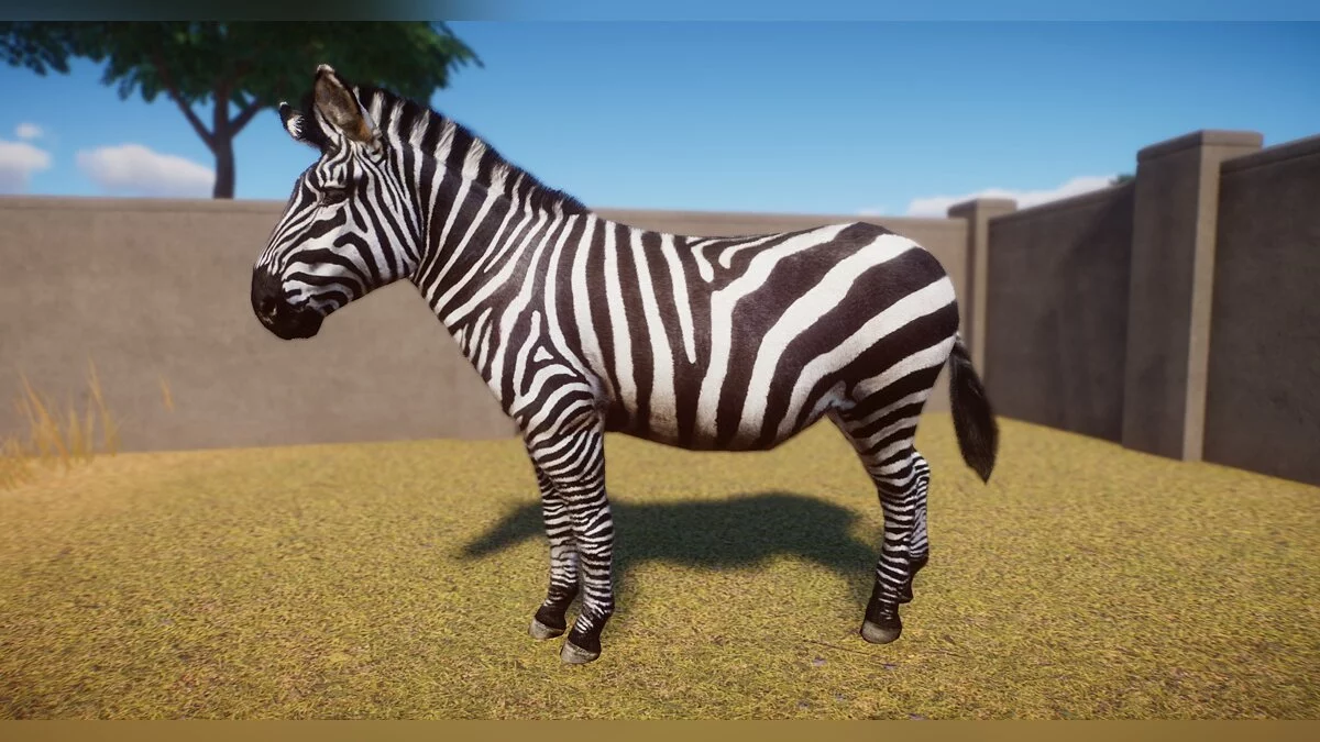 Planet Zoo — Набор новых зебр