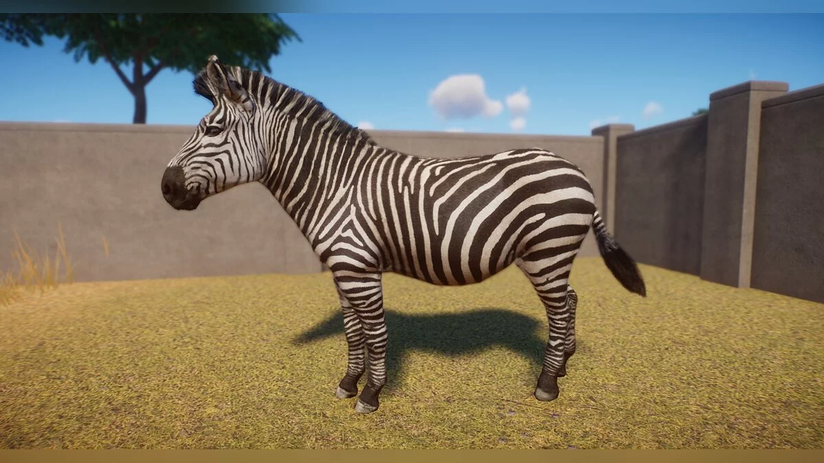 Planet Zoo — Набор новых зебр