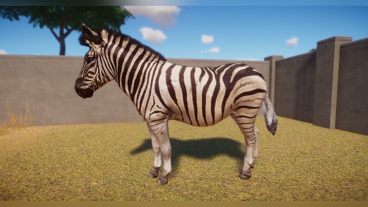 Planet Zoo — Набор новых зебр