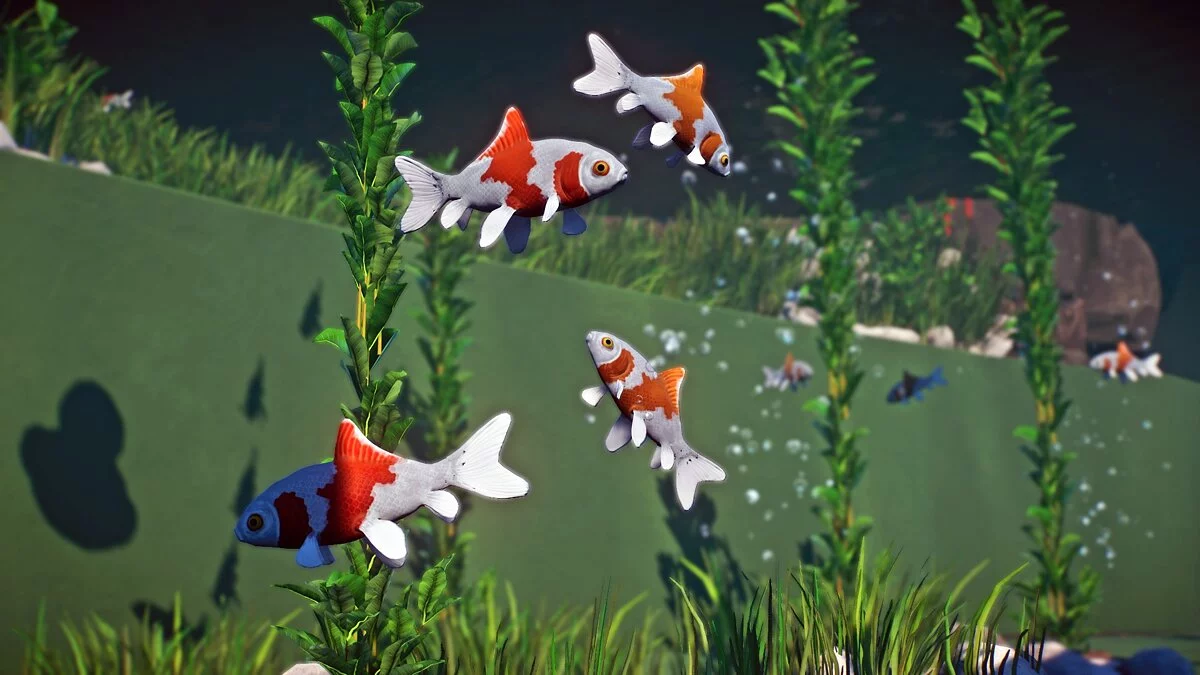 Planet Zoo — Обыкновенная золотая рыбка - новые виды