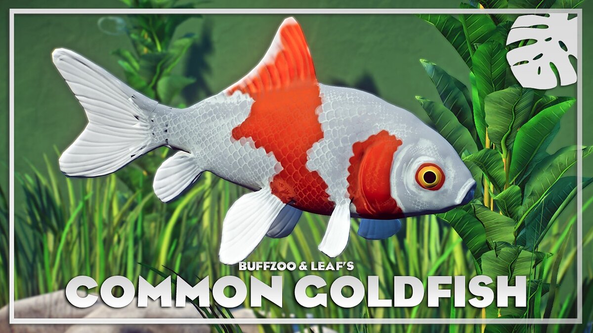 Planet Zoo — Обыкновенная золотая рыбка - новые виды