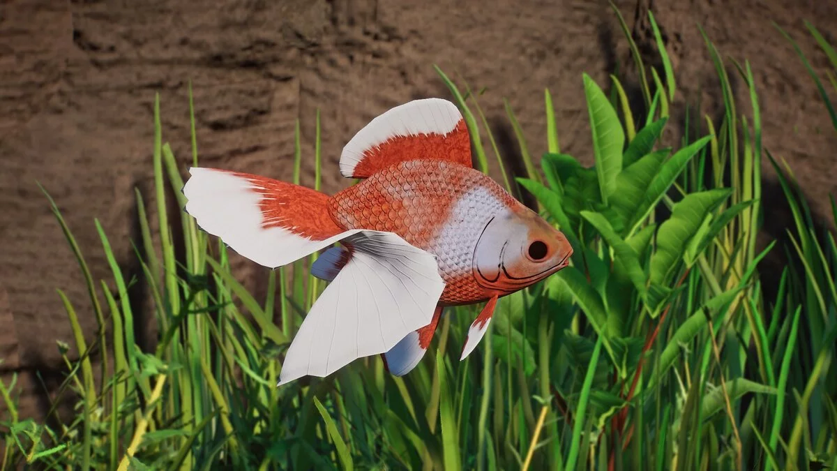 Planet Zoo — Золотая рыбка Тосакин - новые виды