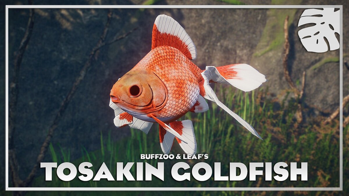 Planet Zoo — Золотая рыбка Тосакин - новые виды