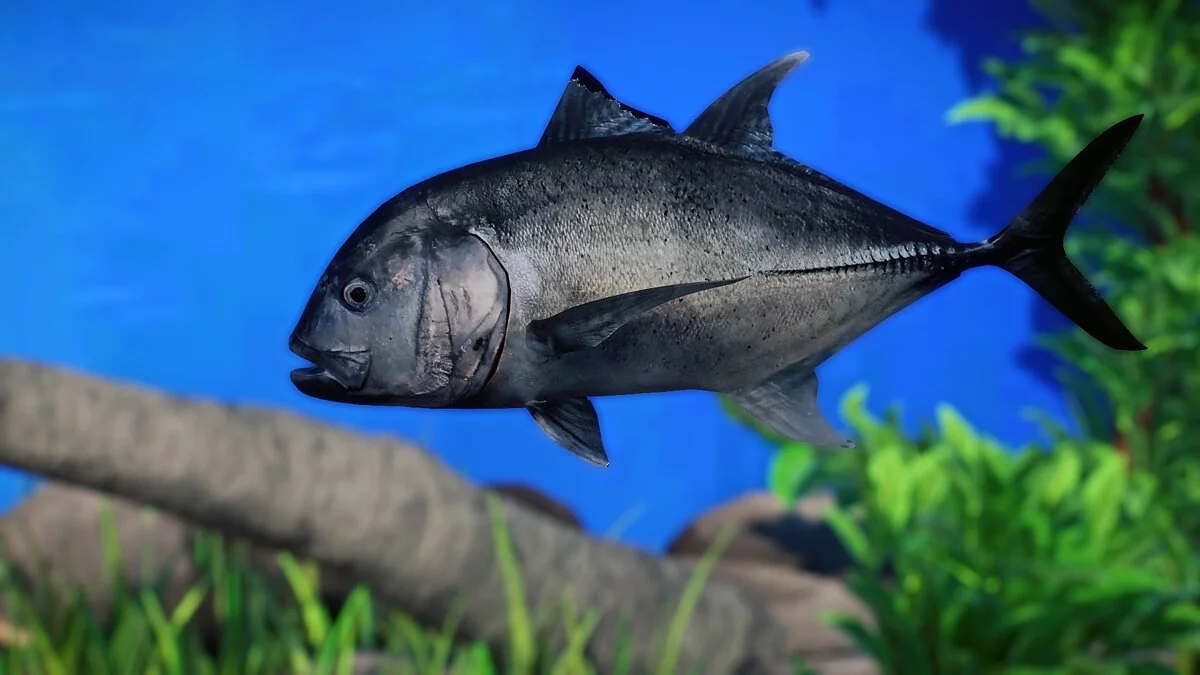 Planet Zoo — Гигантский Тревалли — новые виды