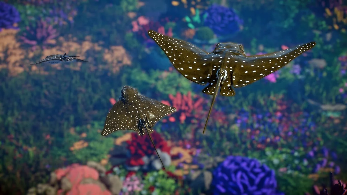 Planet Zoo — Пятнистый орлиный скат — новые виды