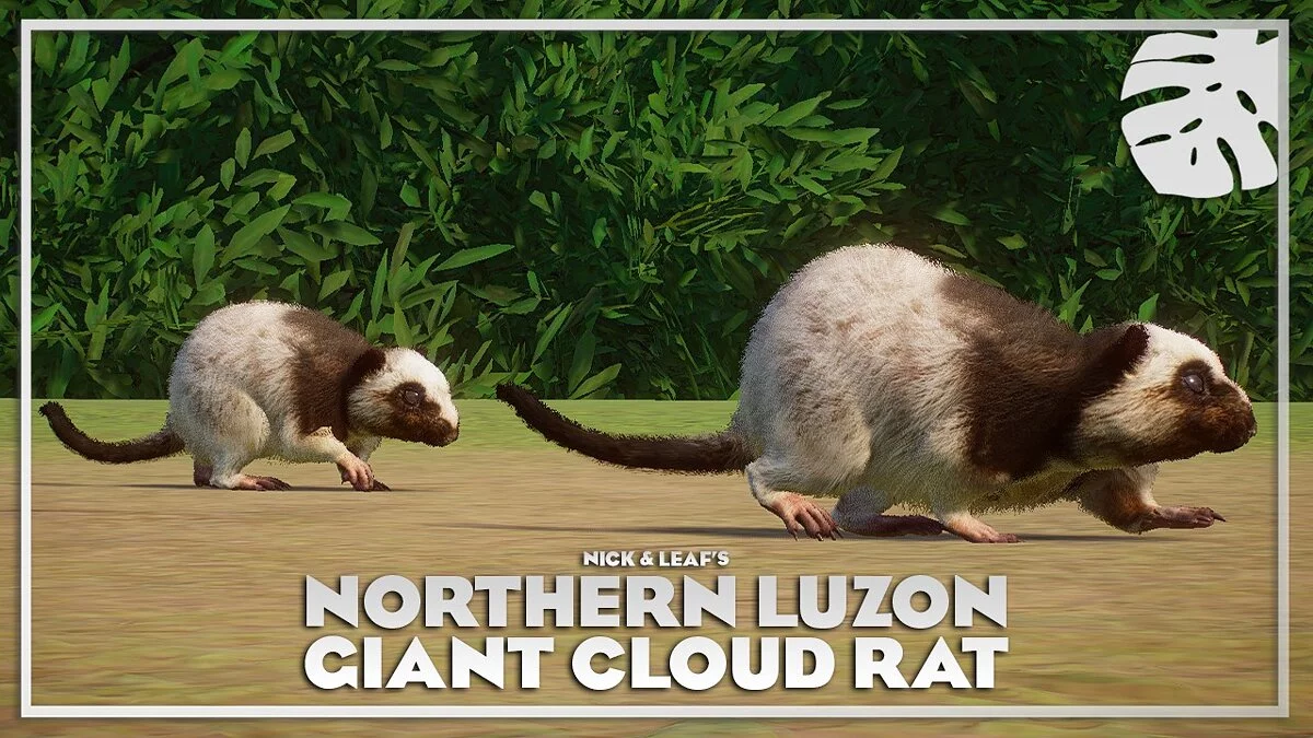 Planet Zoo — Гигантская облачная крыса Северного Лусона - новые виды