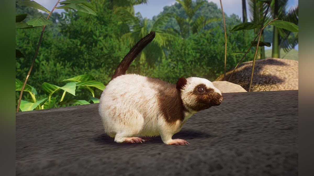 Planet Zoo — Гигантская облачная крыса Северного Лусона - новые виды