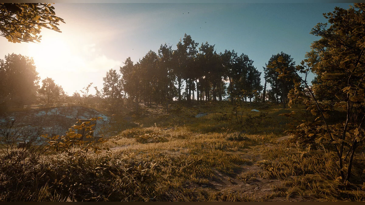 Red Dead Redemption 2 — Динамические сезоны