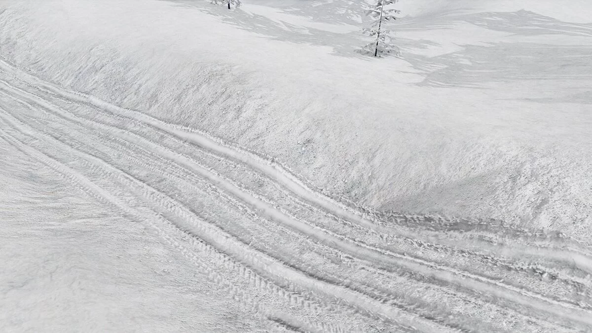 BeamNG.drive — Snowy and Icy Off-Road 1.1