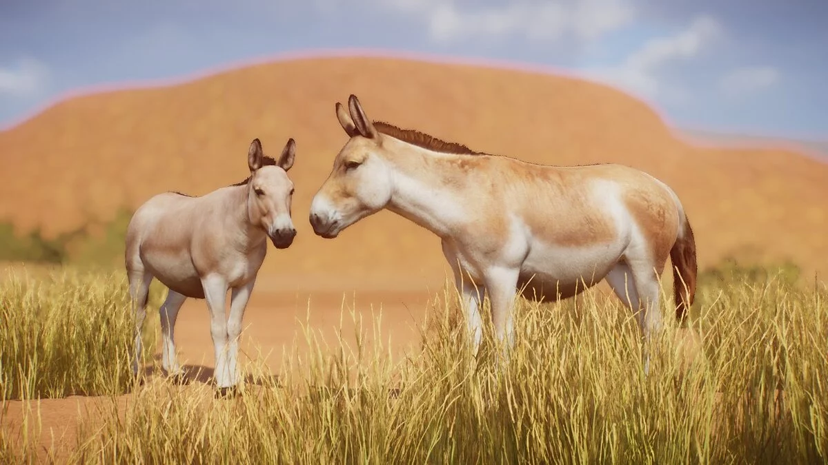 Planet Zoo — Онагр — новый вид