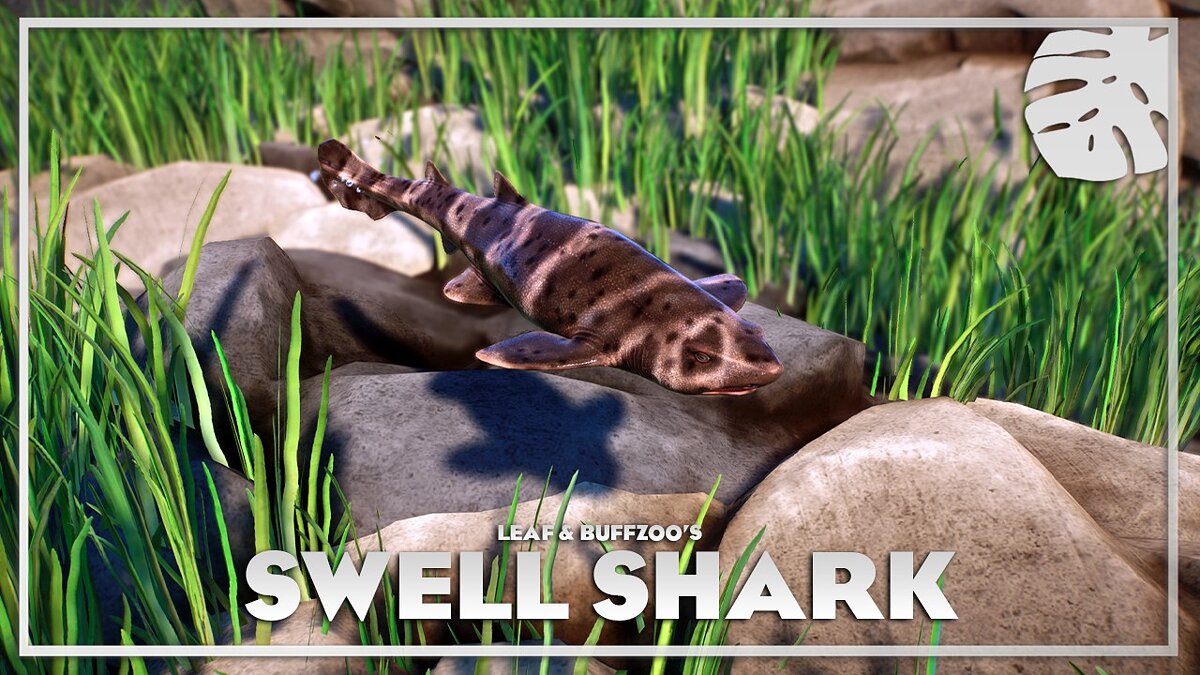 Planet Zoo — Калифорнийская раздувающаяся акула — новые виды