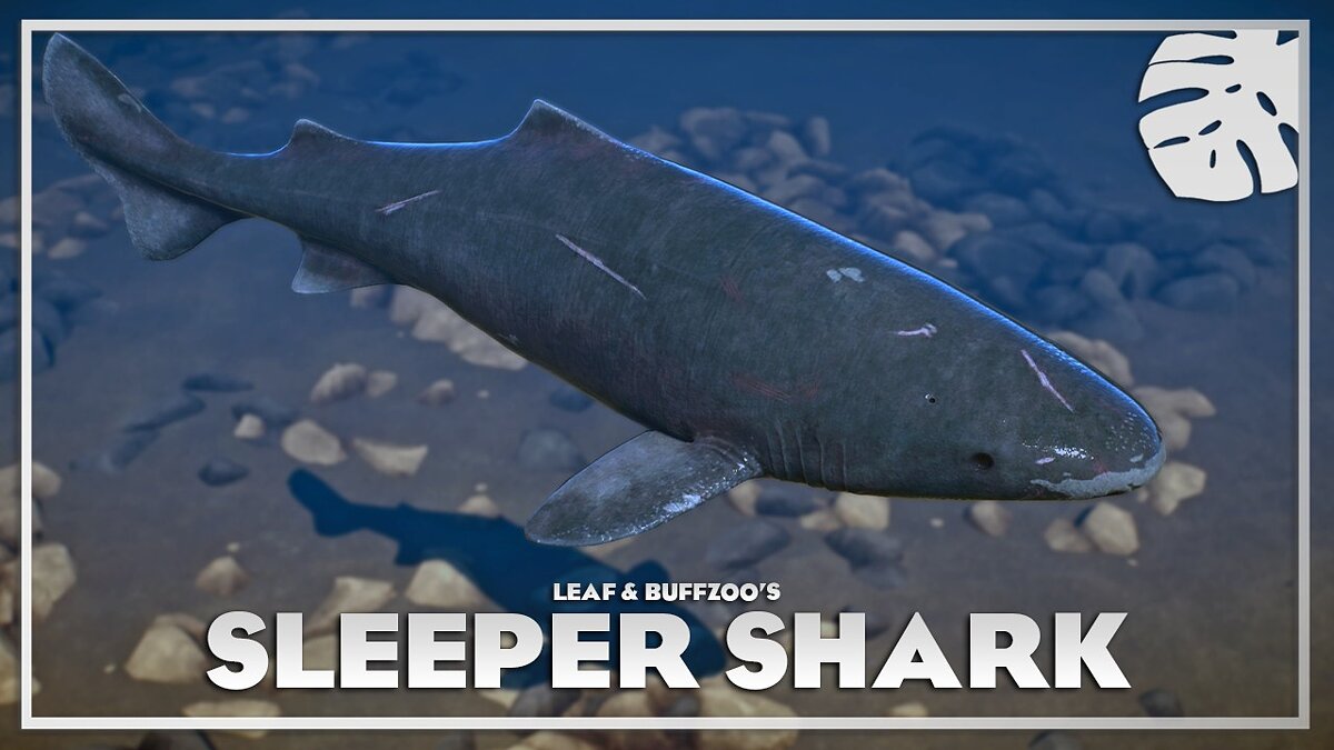 Planet Zoo — Тихоокеанская спящая акула — новые виды