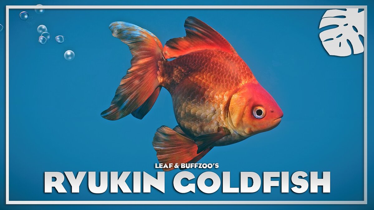 Planet Zoo — Рюкин золотая рыбка - новые виды
