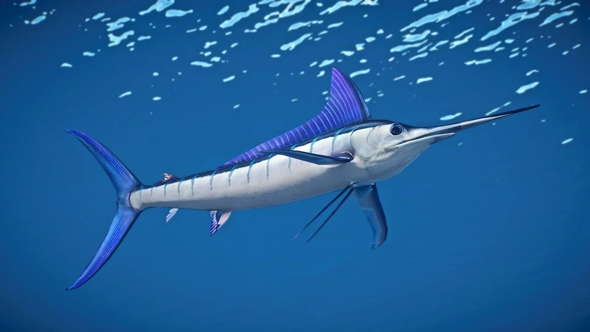 Planet Zoo — Белый марлин - новые виды