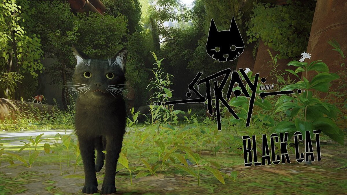 Stray — Чёрный кот с белыми усами