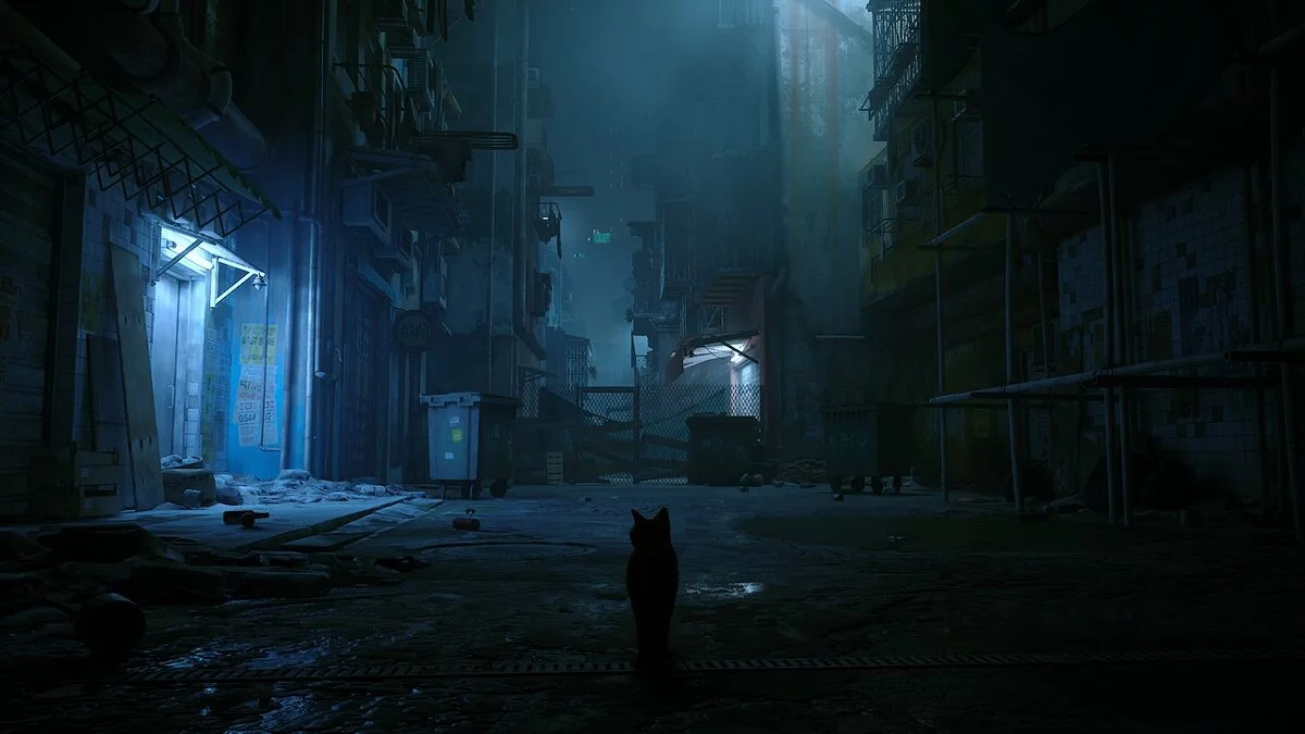 Stray — Красочный решейд