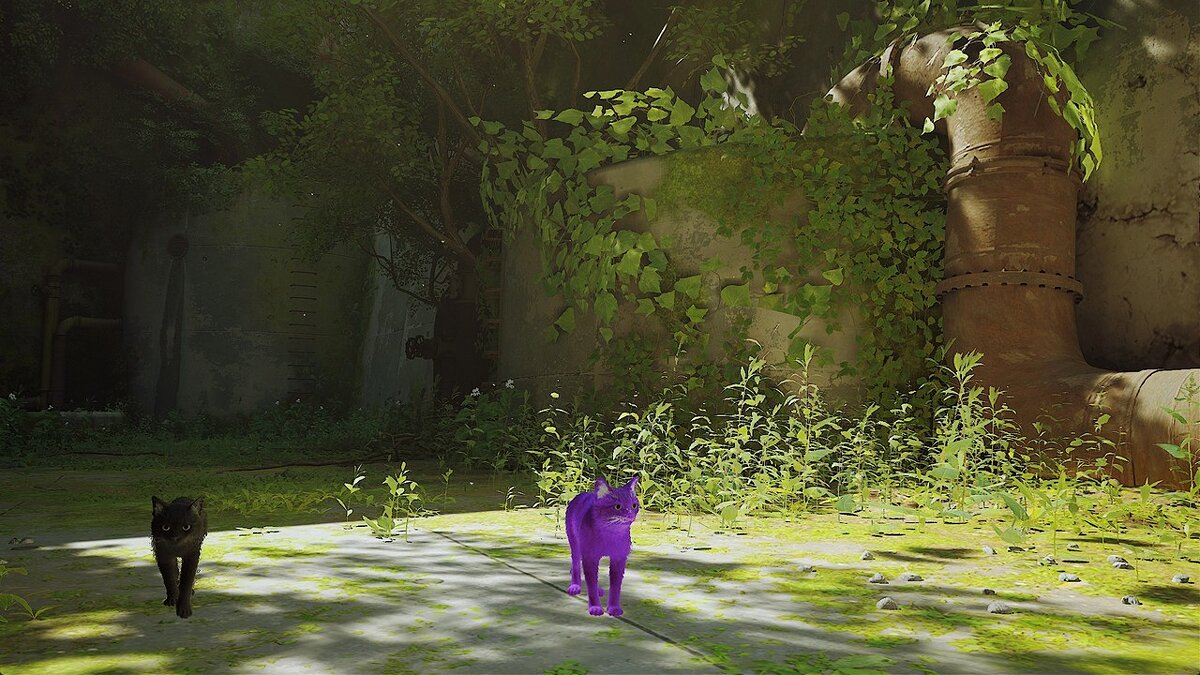 Stray — Фиолетовый кот