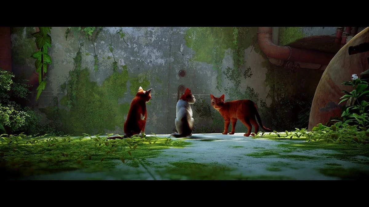 Stray — Красочный пресет решейда