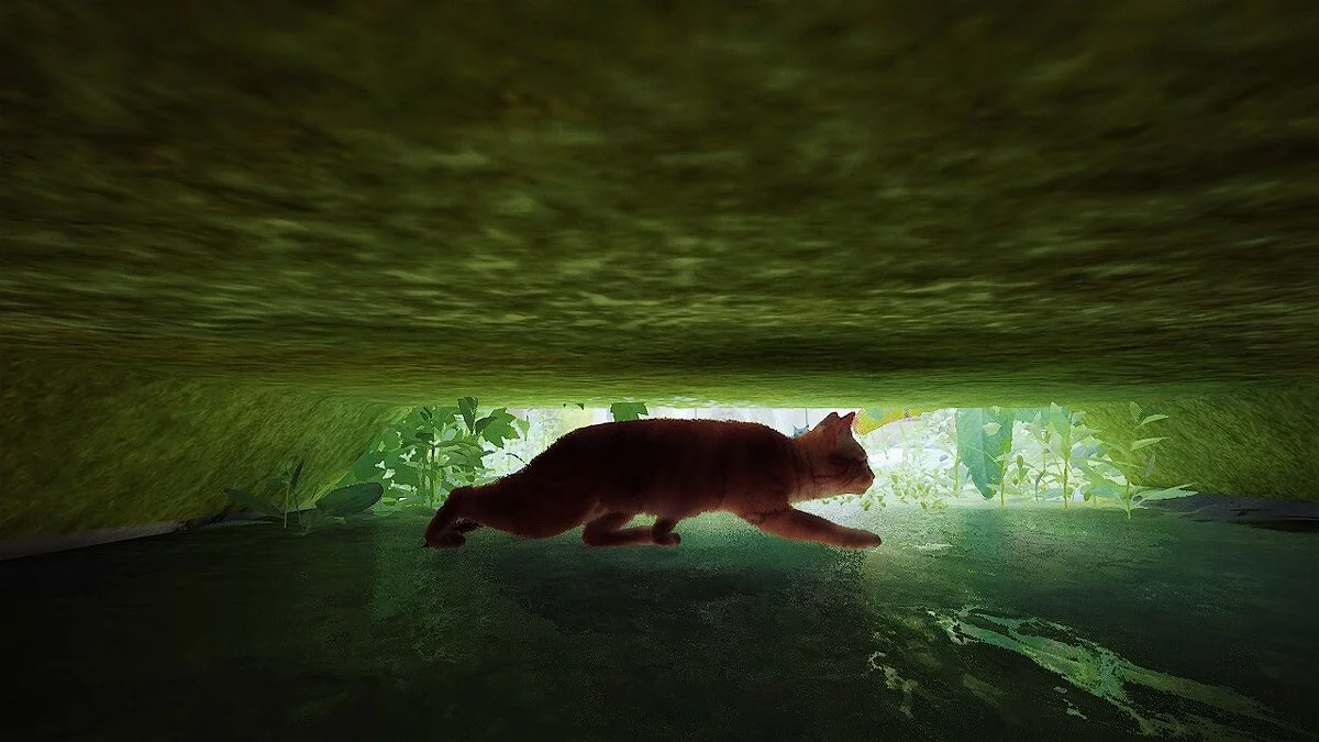 Stray — Натуральный оттенок