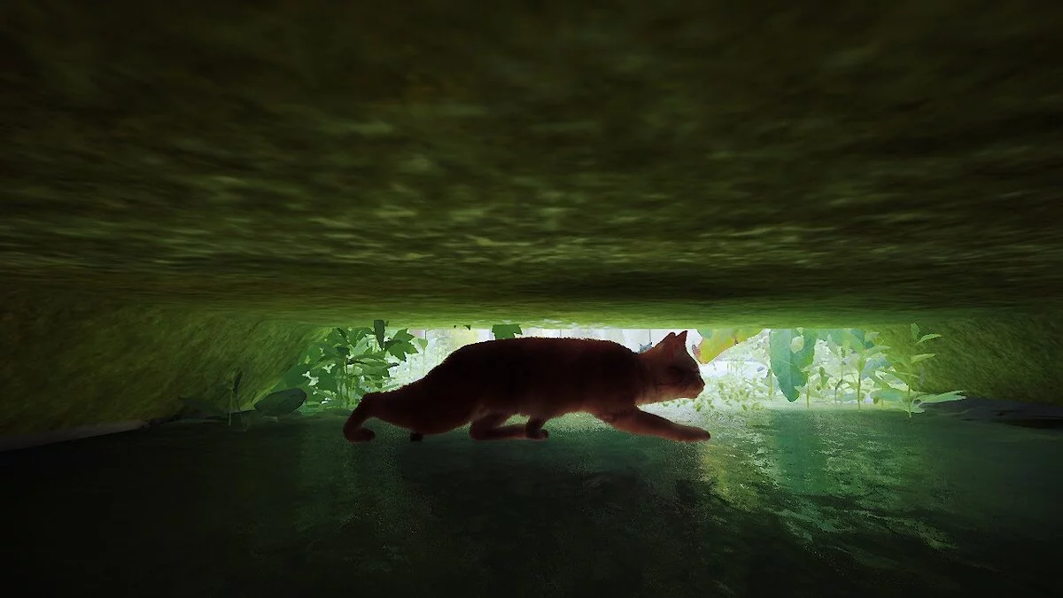 Stray — Натуральный оттенок