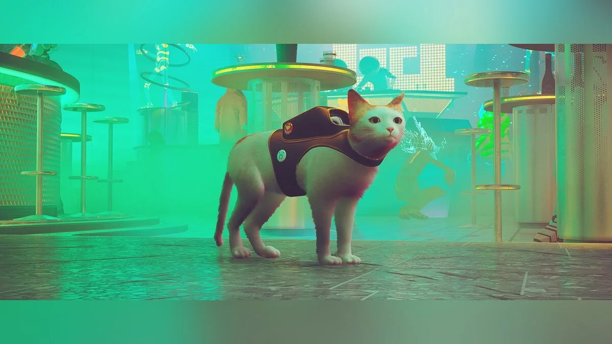 Stray — Белый кот с оранжевыми отметинами