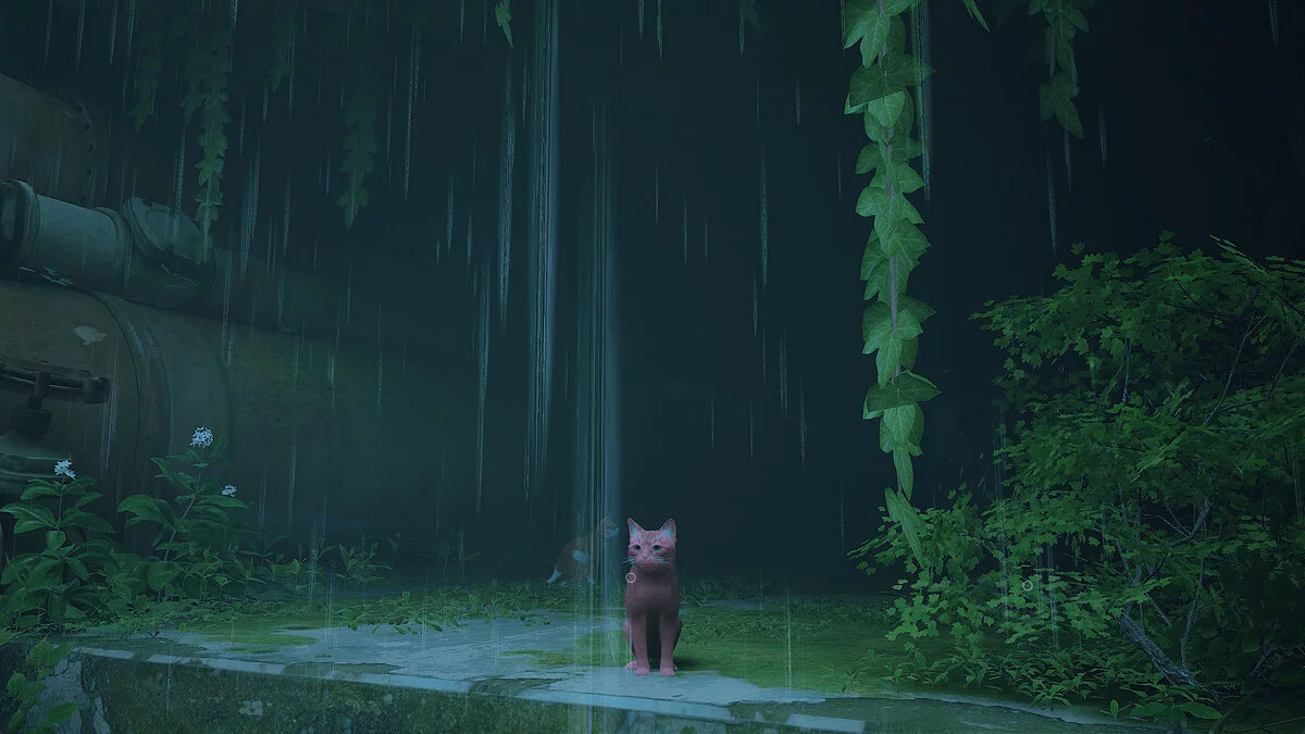 Stray — Розовый кот