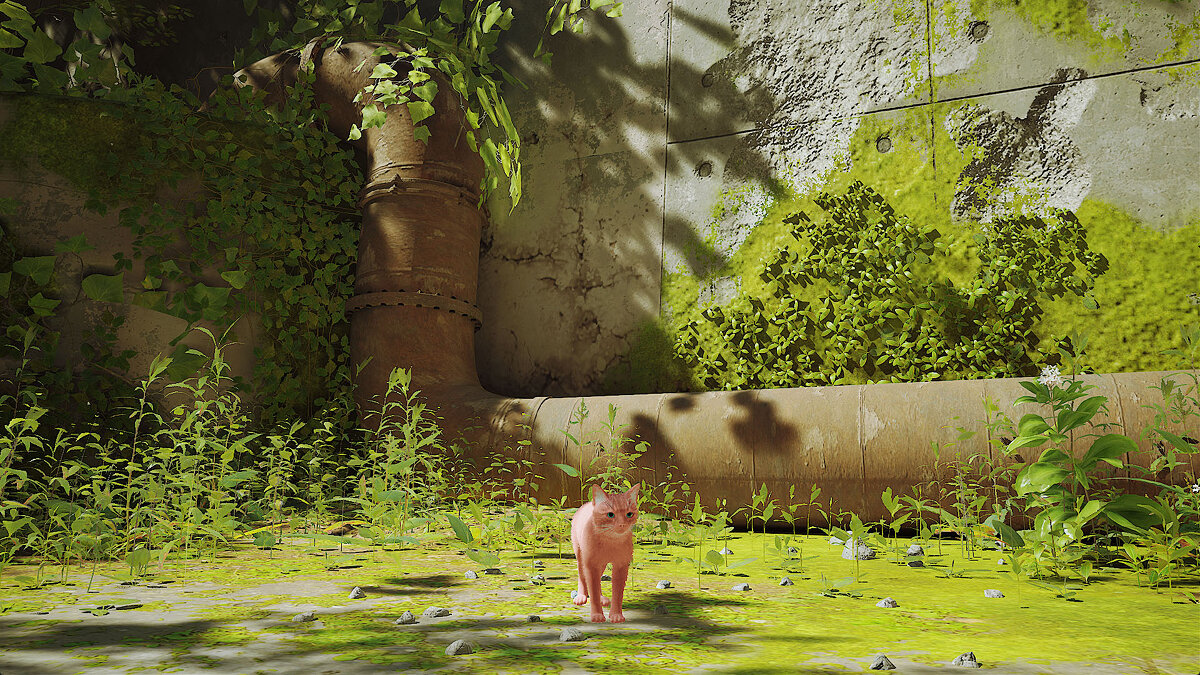 Stray — Розовый кот