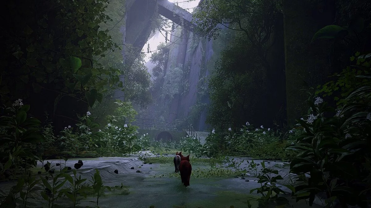 Stray — Фотореалистичный пресет