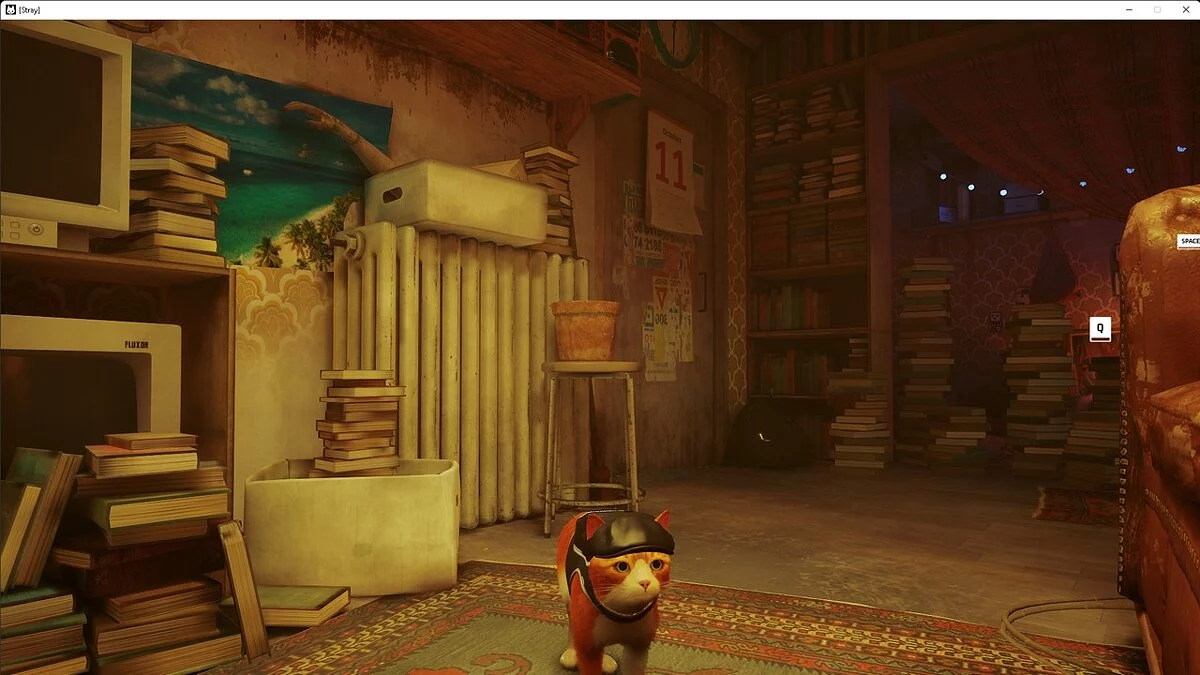 Stray — Кепка газетчика