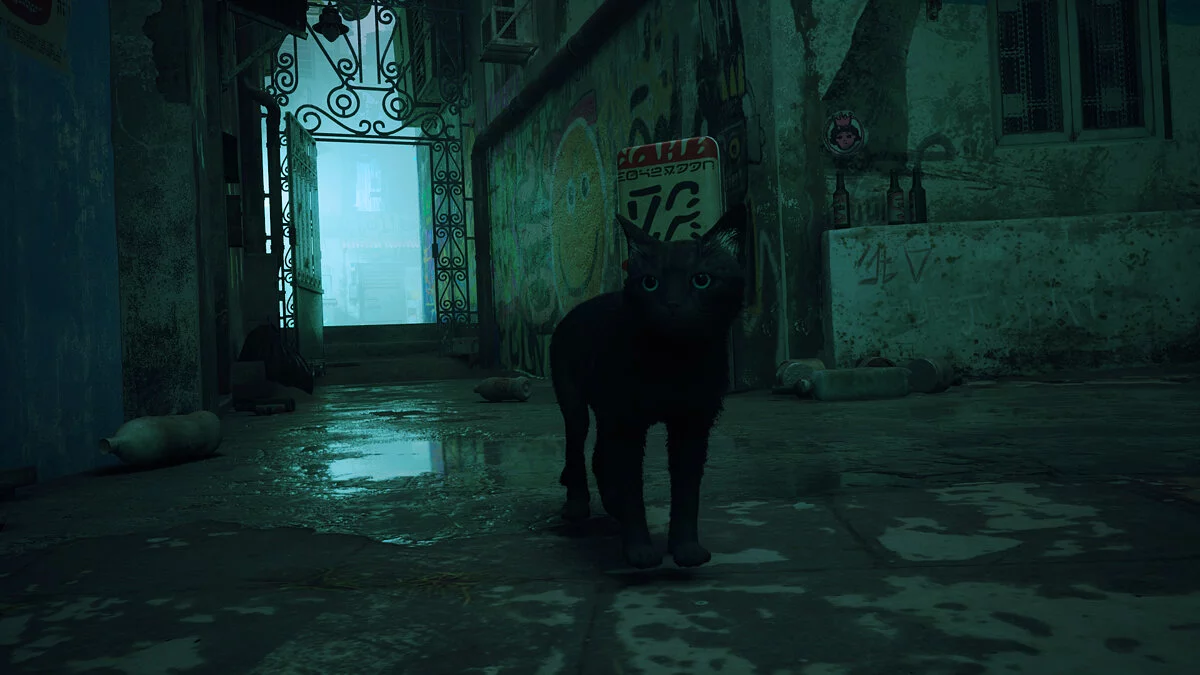 Stray — Чёрный кот с чёрными усами и голубыми глазами